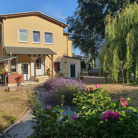 Ferienwohnung Ole ツィノヴィッツ エクステリア 写真