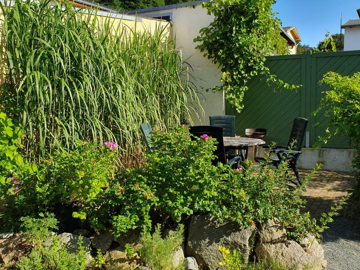 Ferienwohnung Ole ツィノヴィッツ エクステリア 写真