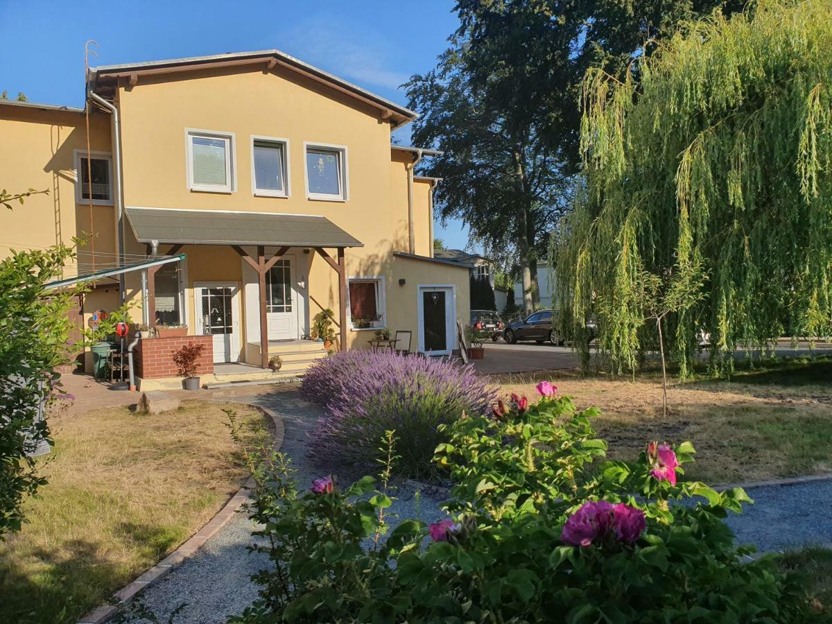 Ferienwohnung Ole ツィノヴィッツ エクステリア 写真