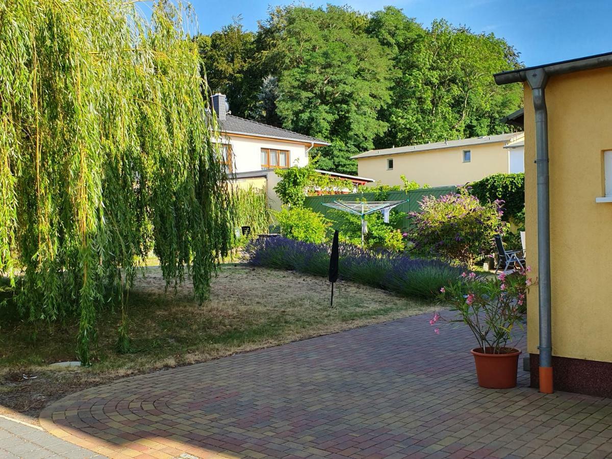 Ferienwohnung Ole ツィノヴィッツ エクステリア 写真