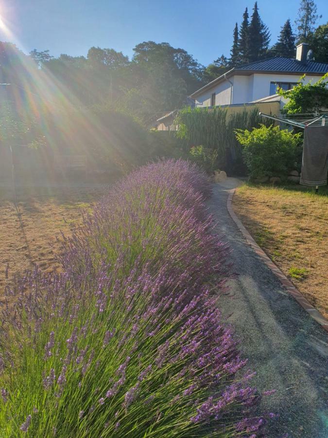 Ferienwohnung Ole ツィノヴィッツ エクステリア 写真
